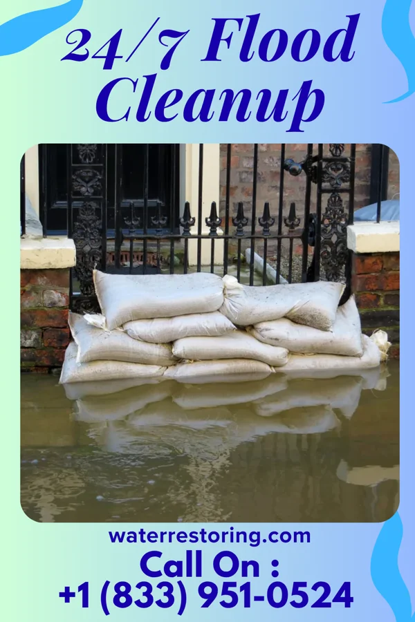 24/7 Flood Cleanup in Porter, IN