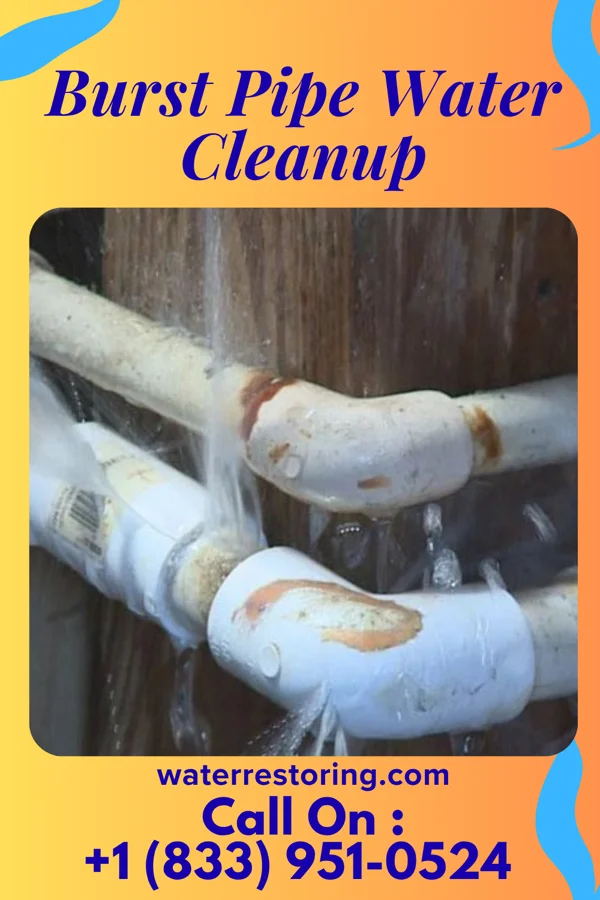 Burst Pipe Water Cleanup in Porter, IN