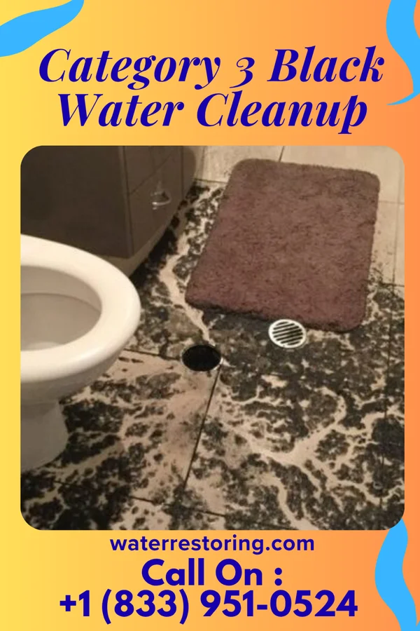 Category 3 Black Water Cleanup in Porter, IN