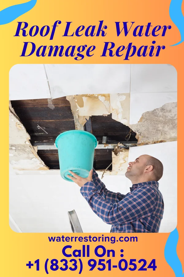 Roof Leak Water Damage Repair in Porter, IN