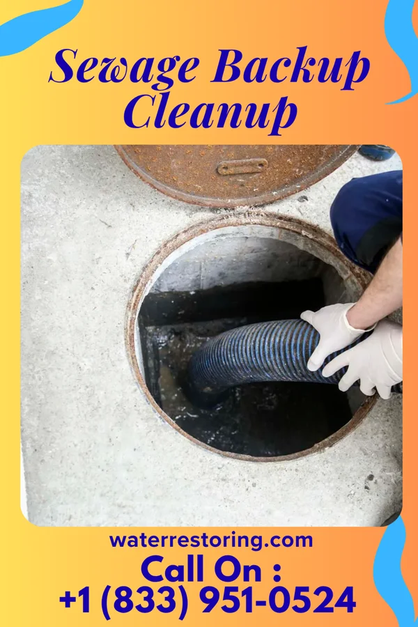 Sewage Backup Cleanup in Porter, IN