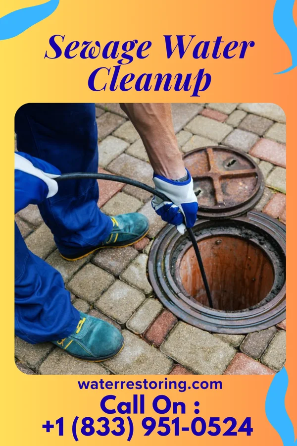 Sewage Water Cleanup in Porter, IN